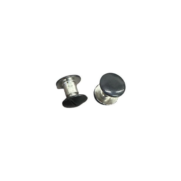 IMG_5782.PNG